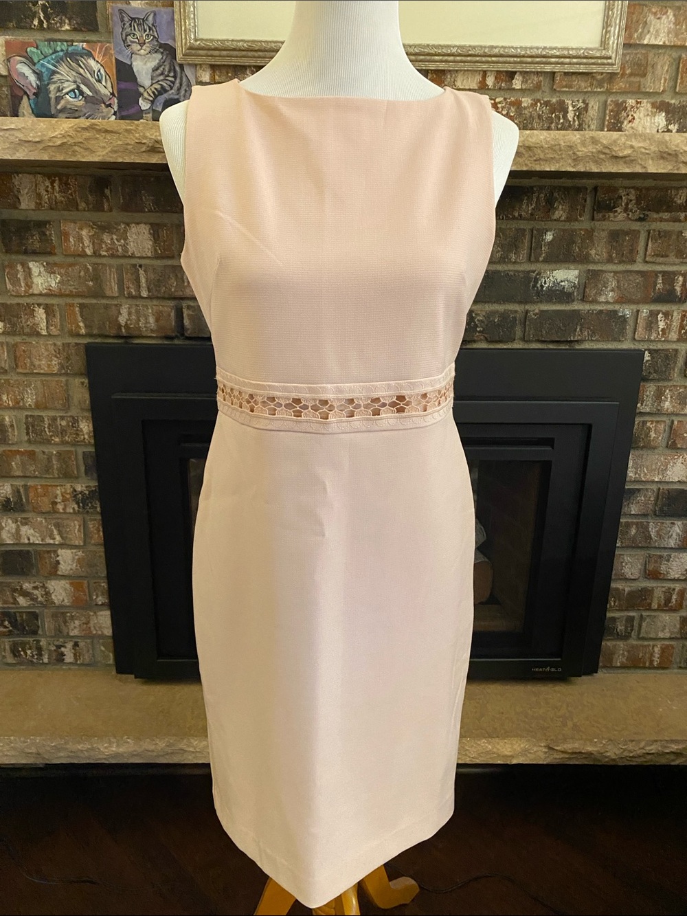 ANN TAYLOR pink fitted shift dress w/ inset crocheted waist. Beautiful classic!